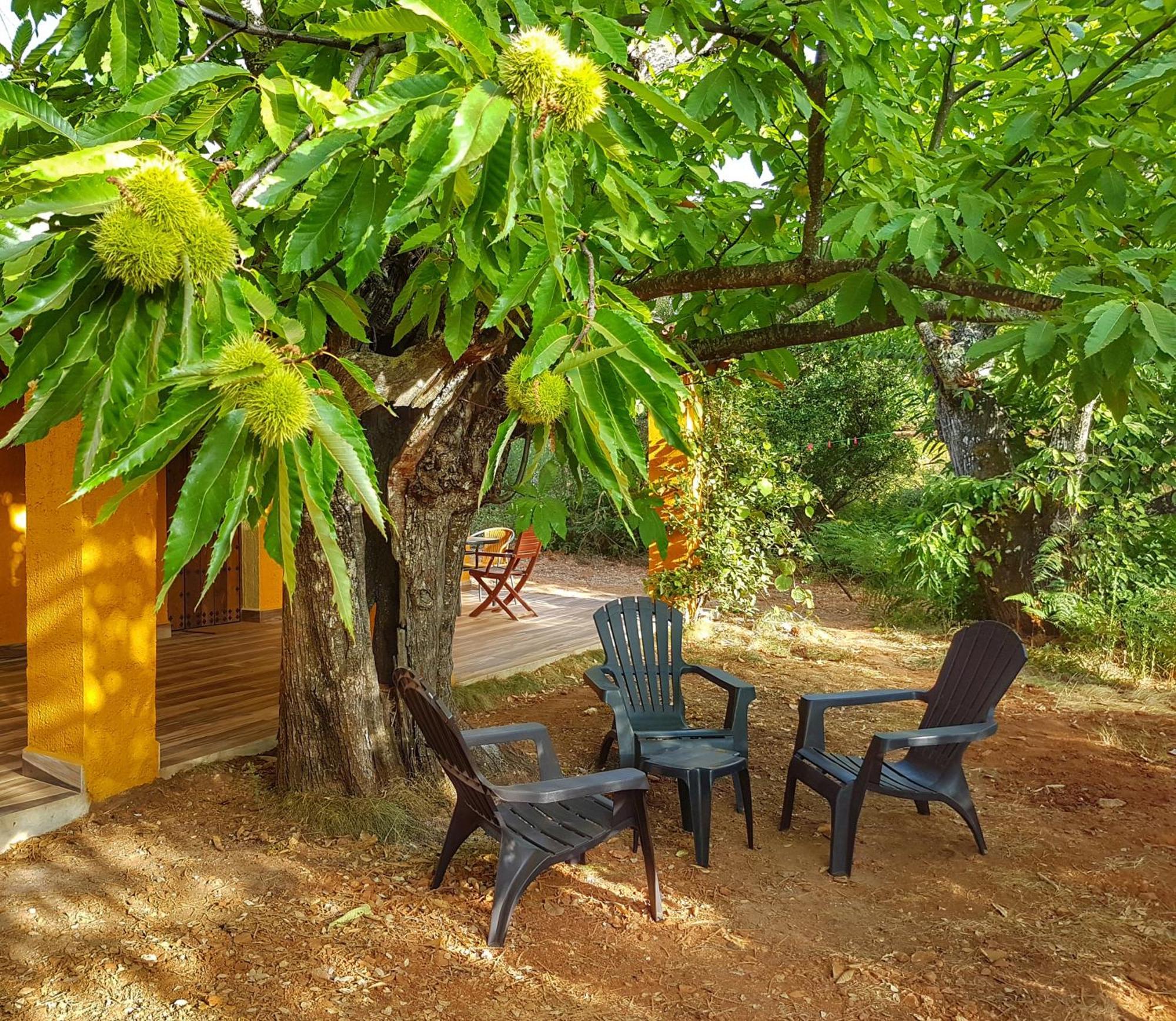Finca la Viriñuela Galaroza Exterior foto