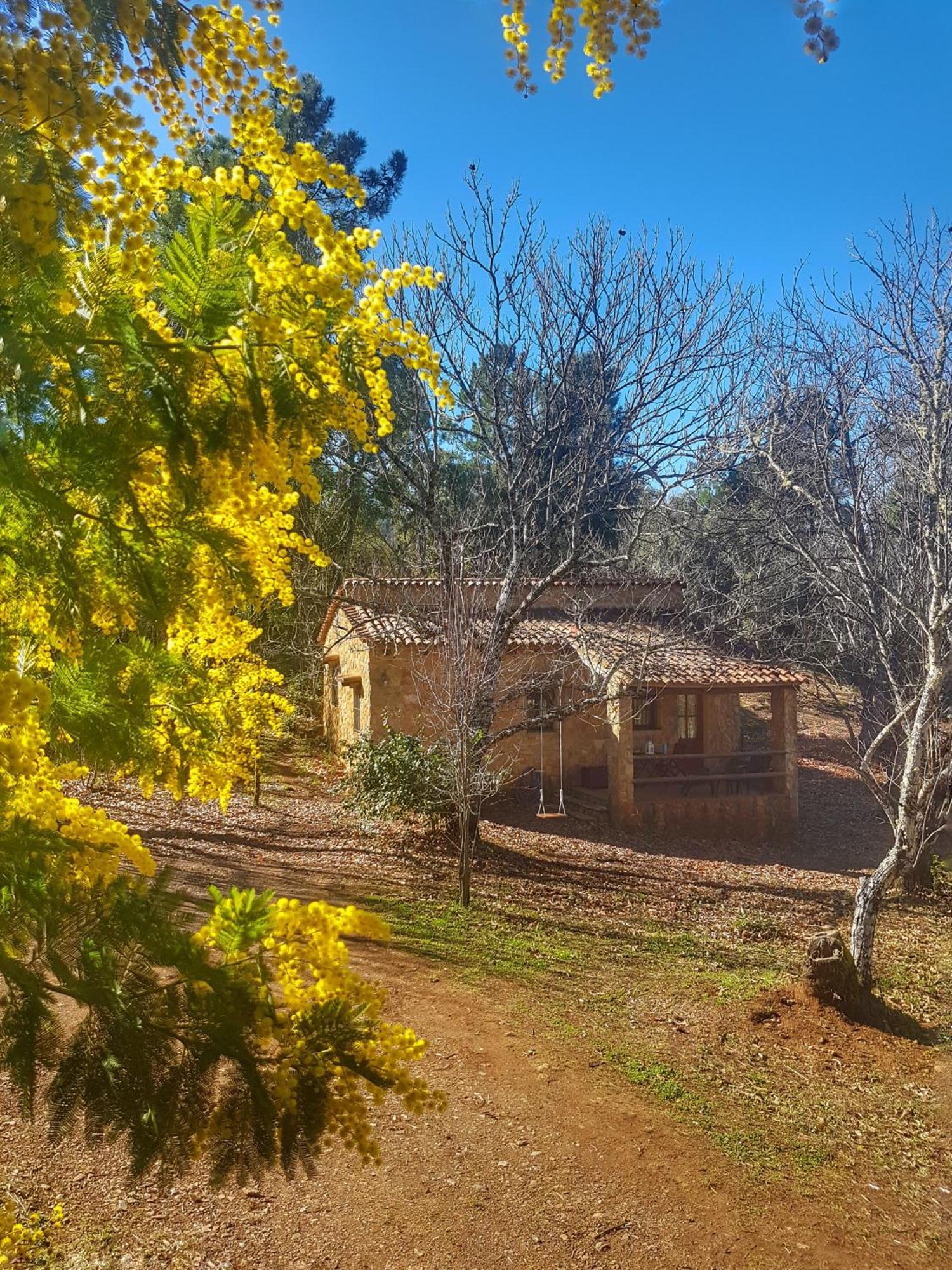 Finca la Viriñuela Galaroza Exterior foto